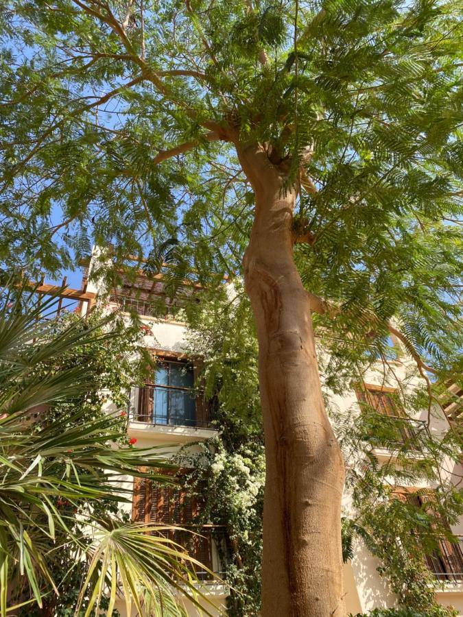 Talabay Cosy 3 Bedroom Apartment